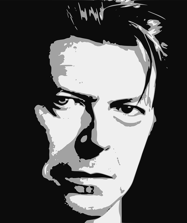 bowie-1152551_960_720
