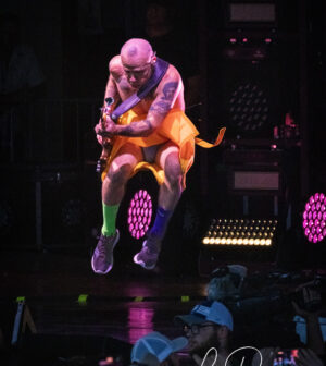 C*5様 RED HOT CHILI PEPPERS レッチリ 袖プリ ユーロ Red-Hot-Chili-
